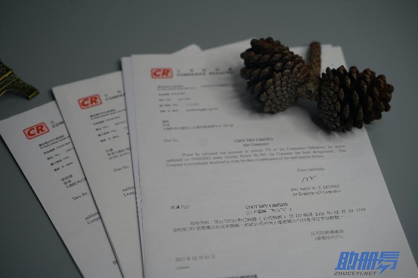 2024香港公司年審所需資料、年審內(nèi)容及逾期后果！