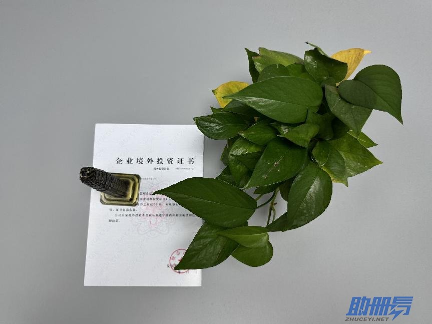 海外公司后期維護知識介紹！